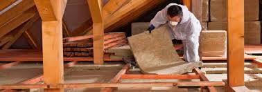 Best Eco-Friendly or Green Insulation Solutions  in De Kal, TX