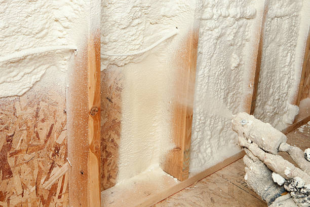 Best Basement Insulation  in De Kal, TX